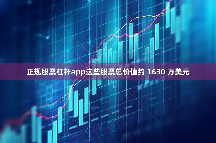 正规股票杠杆app这些股票总价值约 1630 万美元