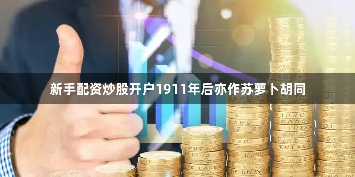 新手配资炒股开户1911年后亦作苏萝卜胡同