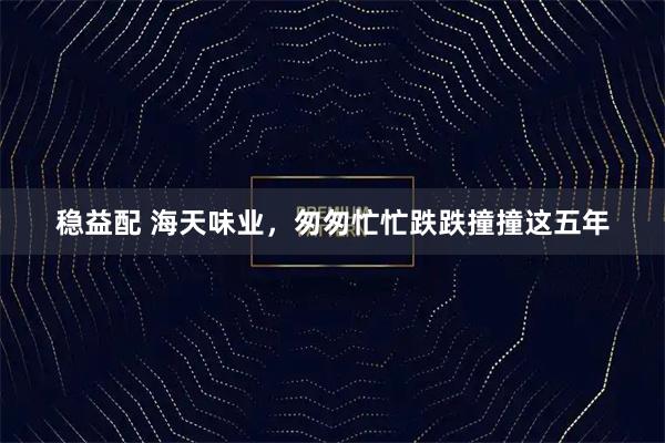 稳益配 海天味业，匆匆忙忙跌跌撞撞这五年